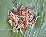 Fried Insects High protein & very good for you